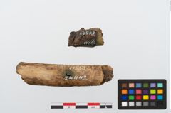 Foto von Eisenklappmesser (NHMW-PRAE-024443)